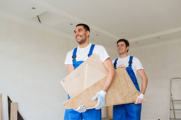 Best Demolition Debris Removal  in Trenton, IL