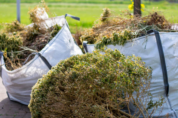 Best Appliance Removal  in Trenton, IL